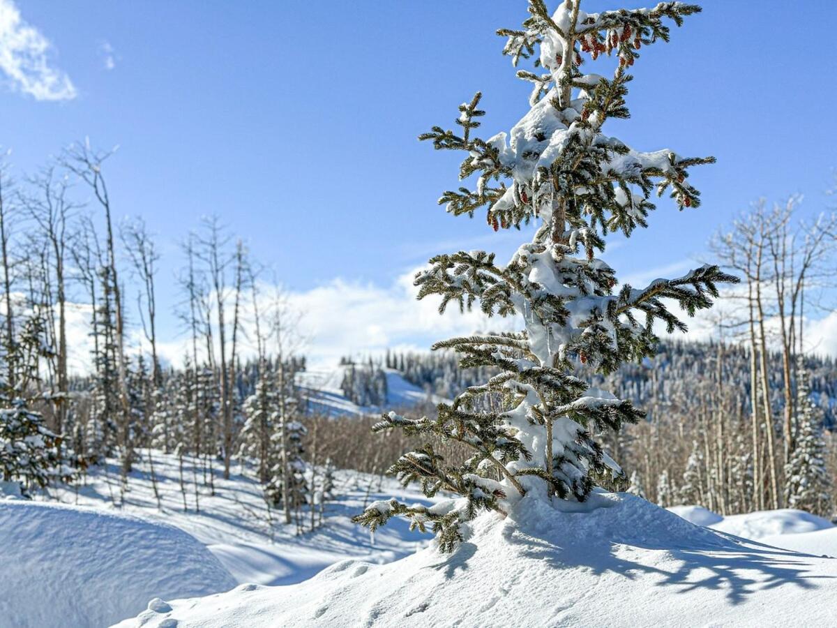 Eagle Roost Retreat By Ski Lifts ブライアン・ヘッド エクステリア 写真